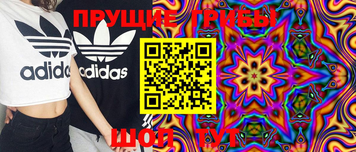 Псилоцибиновые грибы MAGIC MUSHROOMS  Вход с VPN  Зеленогорск  Псилоцибиновые грибы GOLDEN TEACHER 