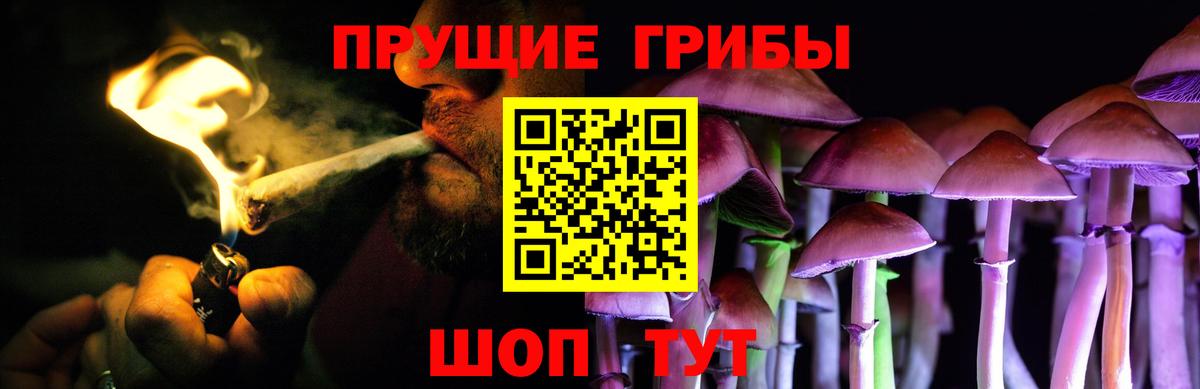 Галлюциногенные грибы GOLDEN TEACHER Зеленогорск